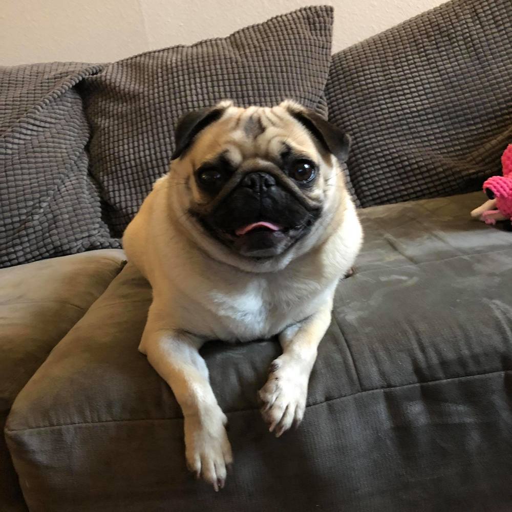 Meet your Posher, Jeanne